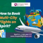 Book Multi-City Flights on Spirit